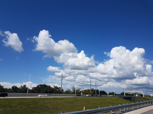 Park «MacFarlane Park», reviews and photos, 1700 N Macdill Ave, Tampa, FL 33607, USA