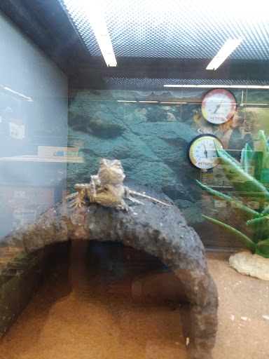 Pet Supply Store «Pet Food Center», reviews and photos, 2243 Lowes Dr E, Clarksville, TN 37043, USA