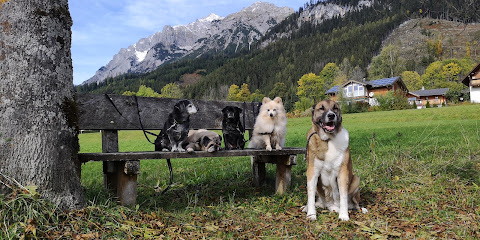 Bühlmanns Hundeparadies