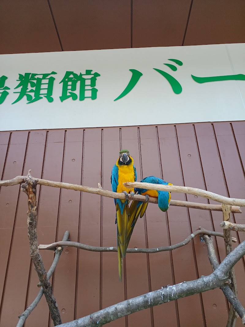 熱帯鳥類館バードピア
