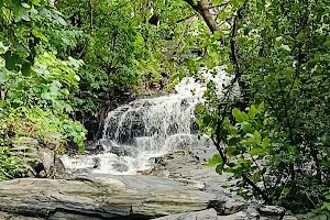 Jolaingbira waterfall Birmitrapur image