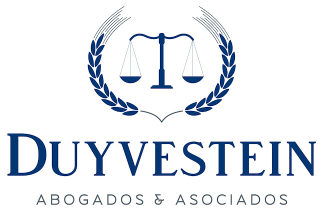 Opiniones de Duyvestein abogados & asociados en Los Andes - Abogado