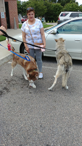 Pet Supply Store «Care-A-Lot Pet Supply Indian River», reviews and photos, 5457 Indian River Rd, Virginia Beach, VA 23464, USA