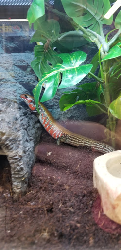 Pet Supply Store «Petco Animal Supplies», reviews and photos, 859 Kings Creek Dr, Tupelo, MS 38804, USA