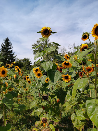 Museum «East Jersey Old Town Village», reviews and photos, 1050 River Rd, Piscataway Township, NJ 08854, USA