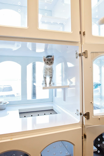 Pet Store «Market Street PET DEPOT», reviews and photos, 2979 S Market St, Gilbert, AZ 85295, USA