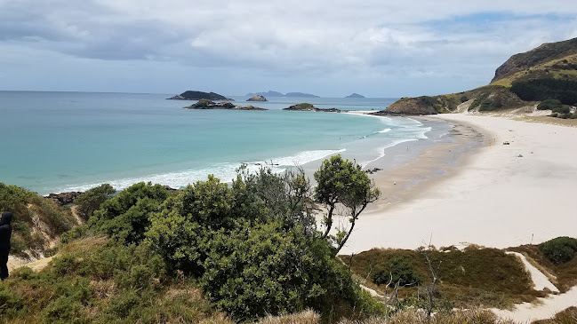Reviews of Ocean Beach in Whangarei Heads - Other
