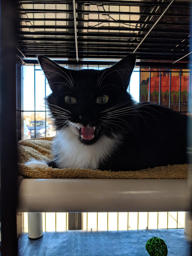 Pet Supply Store «Pet Valu», reviews and photos, 1525 Genntown Dr, Lebanon, OH 45036, USA