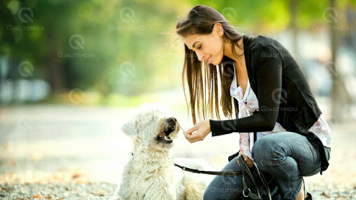 Beauty Salon «Angel Hair & Beauty Salon», reviews and photos, Stevens Creek Blvd, Santa Clara, CA 95051, USA