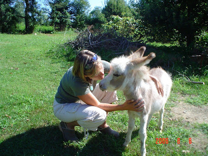 Animal Communicator Nicole Birkholzer