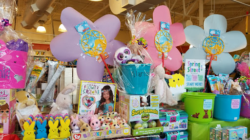 Toy Store «Learning Express Toys & Gifts», reviews and photos, 9660 Falls of Neuse Rd #130, Raleigh, NC 27615, USA