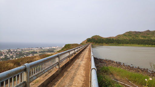 Top 20 cửa hàng akemi Huyện Lý Sơn Quảng Ngãi 2022