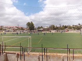 Club Deportivo El Sauce