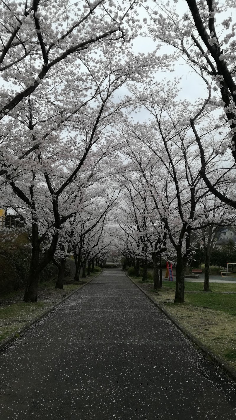 ひかり公園