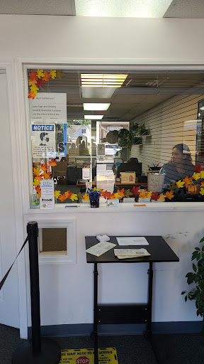 Auto Tag Agency «Planet Auto Tags * NOTARY», reviews and photos