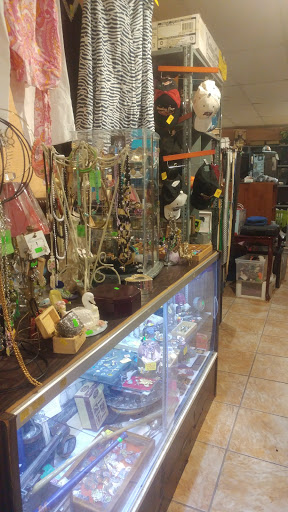 Thrift Store «Thrifty Nickel Tampa Thrift Store Re-Sale», reviews and photos, 7706 W Hillsborough Ave, Tampa, FL 33615, USA