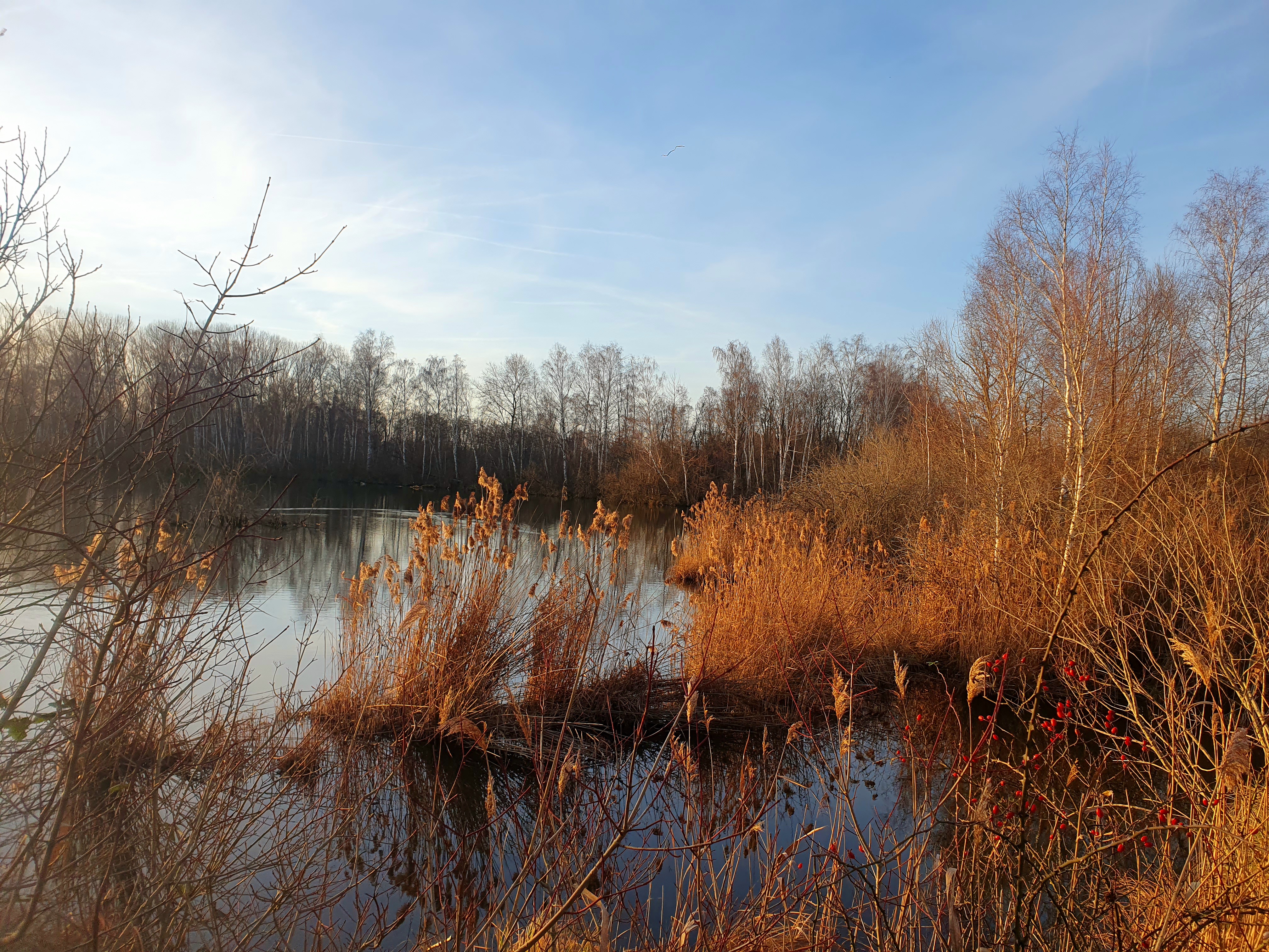 Photo n° 9 de l'avis de Albert.l fait le 27/01/2024 à 21:21