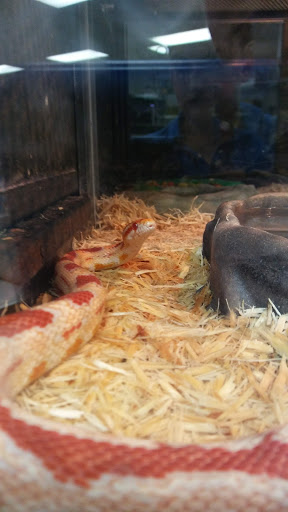 Pet Store «Fins & Critters Pet Shop», reviews and photos, 2014 W Gore Blvd, Lawton, OK 73501, USA