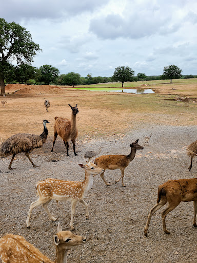 Zoo «The Exotic Resort Zoo», reviews and photos, 235 Zoo Trail, Johnson City, TX 78636, USA