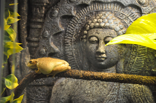 Zoo «Reptile Zoo», reviews and photos, 22715 US-2, Monroe, WA 98272, USA