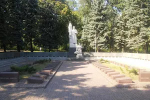 Памятник Воинам-освободителям image