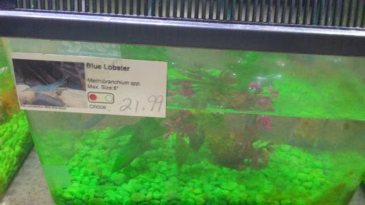 Pet Store «Pet Cove», reviews and photos, 820 E Center St, Kingsport, TN 37660, USA