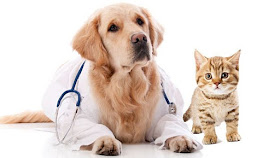 "Ruka Kulliñ" Clinica Veterinaria, Pet Shop y Peluquería Canina
