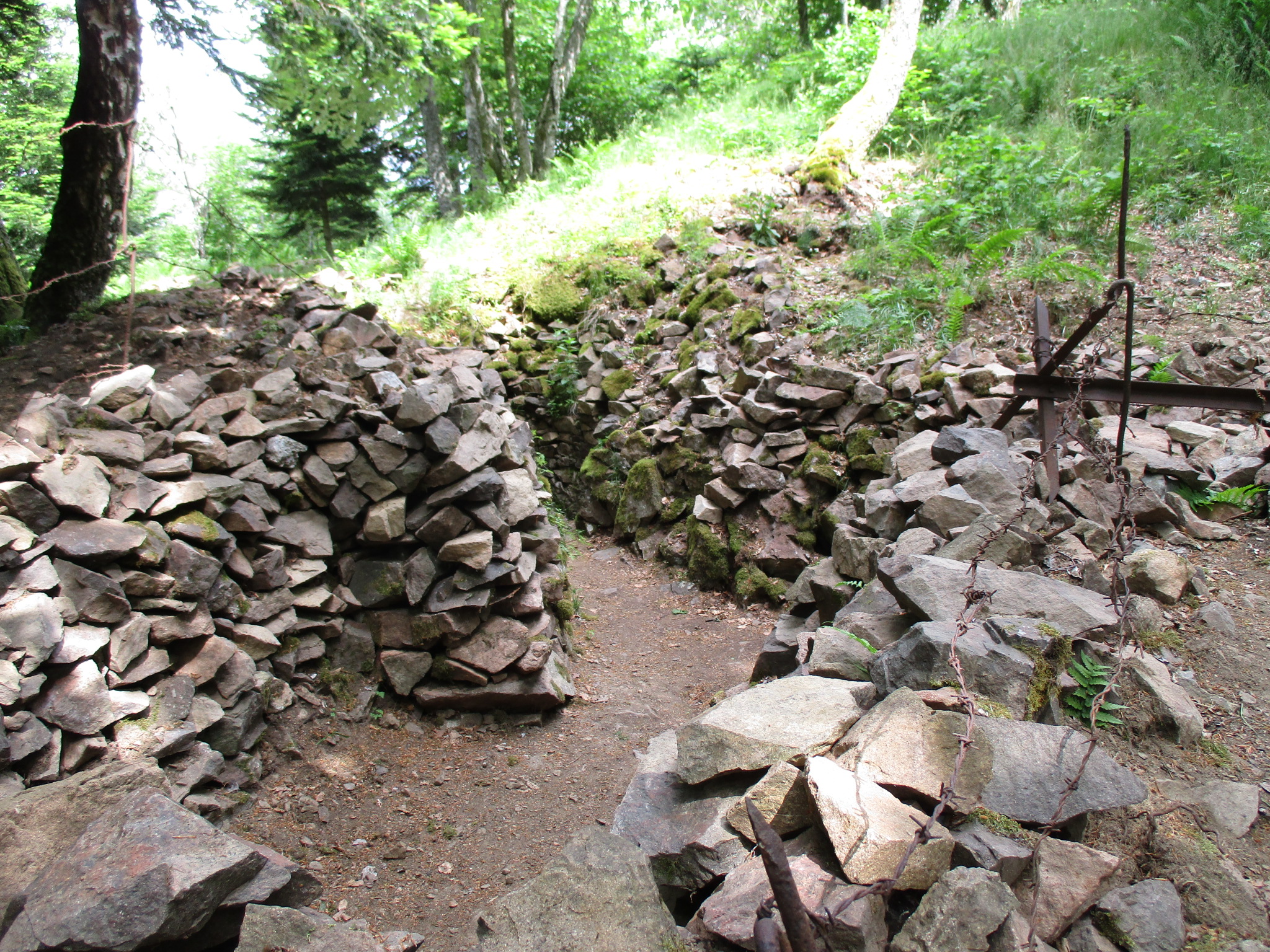 Photo n° 3 de l'avis de The.e fait le 15/10/2023 à 15:50