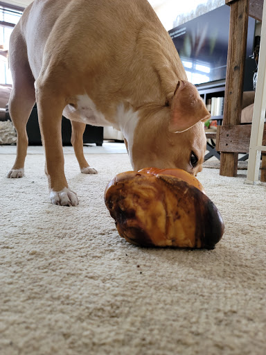 Butcher Shop «Osseo Meat Market», reviews and photos, 344 County Rd 81, Osseo, MN 55369, USA