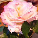 Photo n°5 de l'avis de Suzi.i fait le 09/11/2020 à 19:17 sur le  Gasthof Zum Löwen à Braunsbach