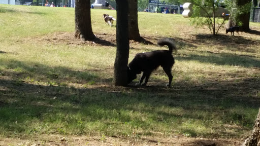 Park «Clarence Foster Park», reviews and photos, 4400 Woodland Park Blvd, Arlington, TX 76013, USA