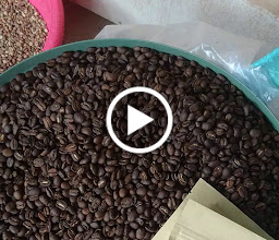 Bapocha kopi kendari photo