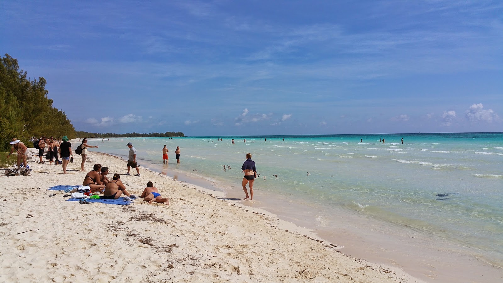 Foto di Gold Rock beach con una superficie del sabbia beige fine
