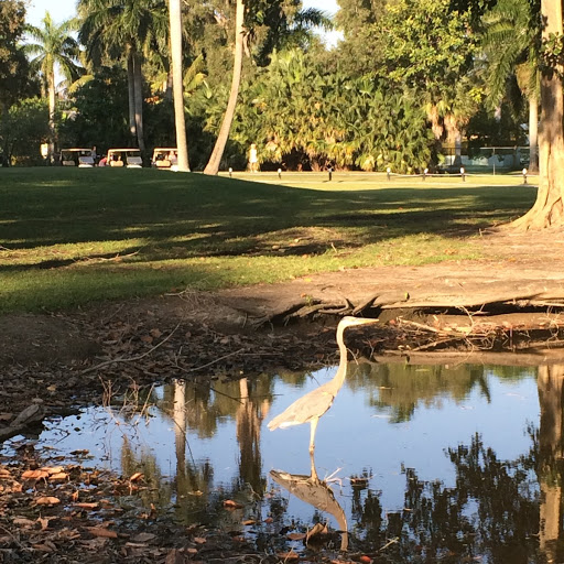 Public Golf Course «Hollywood Beach Golf Resort», reviews and photos, 1600 Johnson St, Hollywood, FL 33020, USA