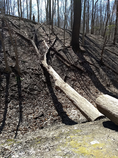 Park «Potomac Overlook Regional Park», reviews and photos, 2845 Marcey Rd, Arlington, VA 22207, USA