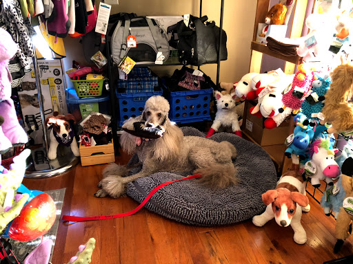 Pet Supply Store «My Best Friend’s Barkery», reviews and photos, 176 Shawneehaw Ave S, Banner Elk, NC 28604, USA