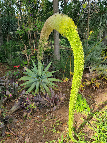 Botanical Garden - Santa Cruz