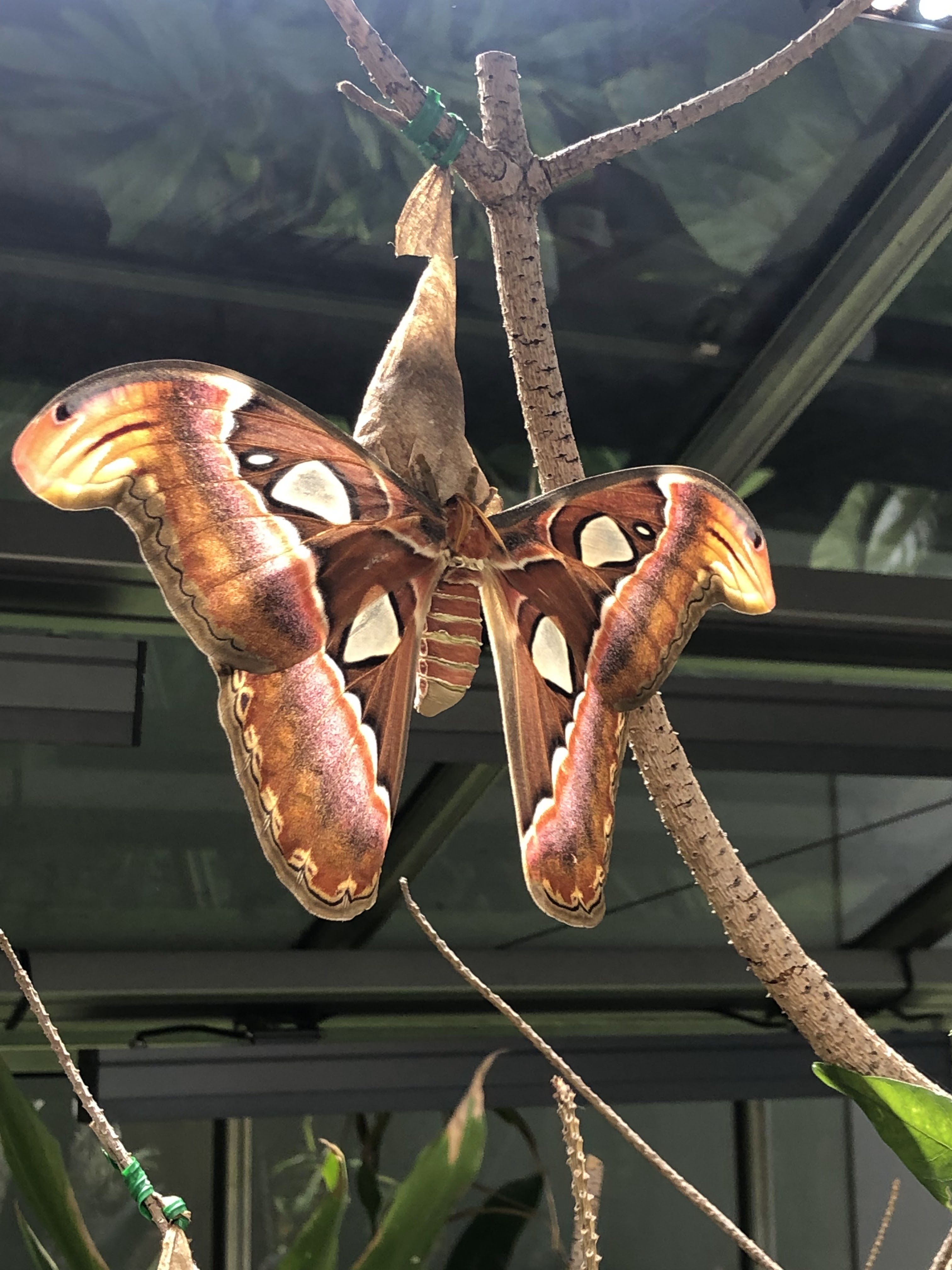 Photo n° 24 de l'avis de Nicolas.a fait le 07/06/2022 à 05:35