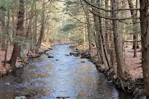 Amethyst Brook Conservation Area image