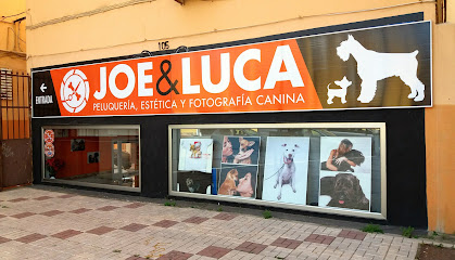 Joe &amp; Luca Peluquería, Estetica y Fotografía Canina - Servicios para mascota en Málaga