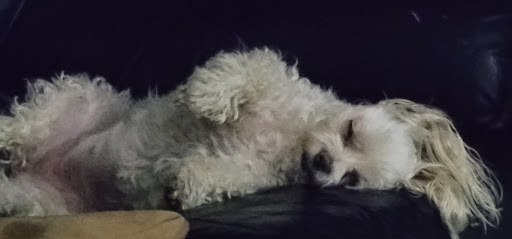 Dry Cleaner «Joy Cleaners», reviews and photos, 14410 Washington Ave #100, San Leandro, CA 94578, USA