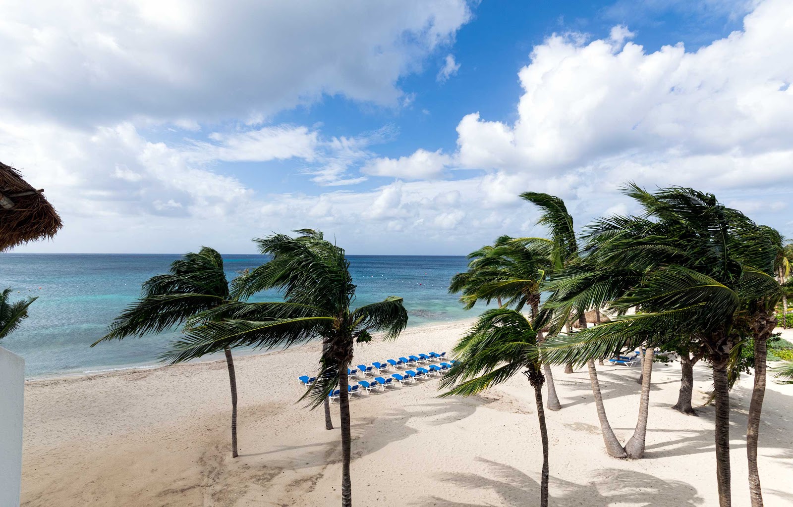 Foto de Playa paradise Cozumel - lugar popular entre los conocedores del relax