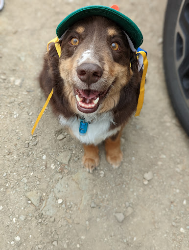 Pet Store «Healthy Pets Mountain West», reviews and photos, 2352 Fort Union Blvd, Cottonwood Heights, UT 84121, USA