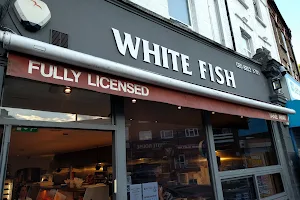 White Fish image