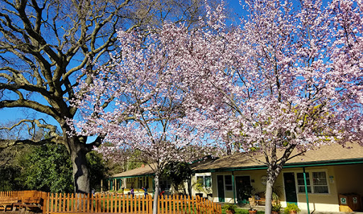 Waldorf school Sunnyvale