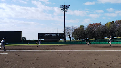 いずみ総合公園ワカキヤ大泉町民野球場