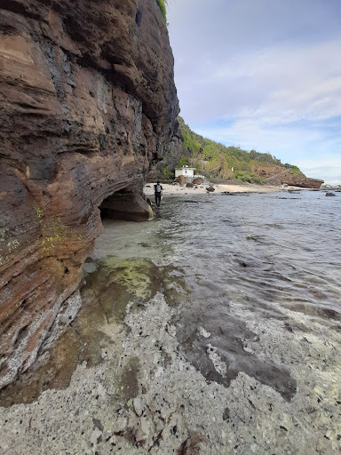 Top 20 cửa hàng akemi Huyện Lý Sơn Quảng Ngãi 2022