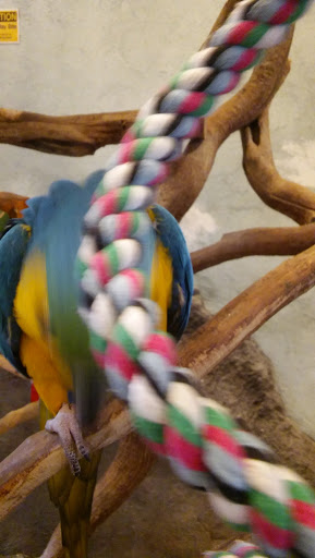 Craft Store «Michaels», reviews and photos, 100-B Independent Way, Brewster, NY 10509, USA