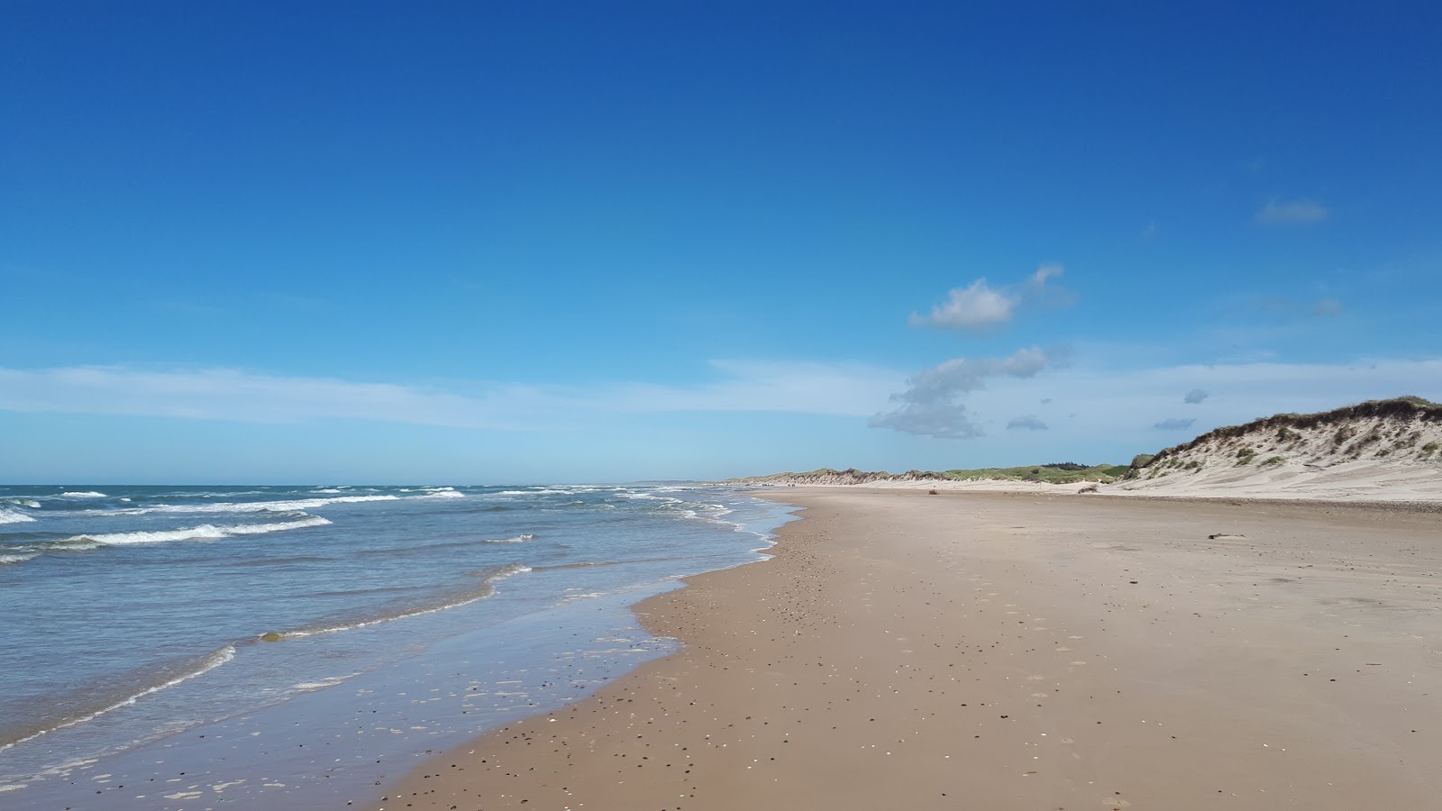 Tversted Beach的照片 带有明亮的沙子表面