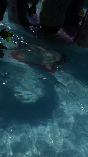 Water Park «Splish Splash Water Park», reviews and photos, 2549 Splish Splash Dr, Calverton, NY 11933, USA